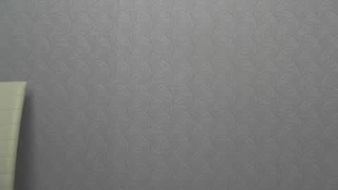 Snapshot of playful_goldie chatting on 01.05.25 Goldie online show from 01.05.25