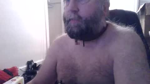 pleasurepuppt online show from 02.06.25