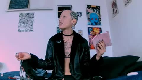    online show from 05.12.26