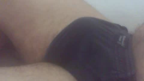 pol2023 online show from 01.08.26