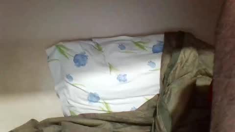 Snapshot of pollaa_19 chatting on 05.18.26 pollaa_19 online show from 05.18.26