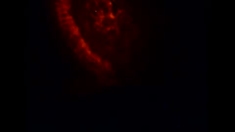 pollachico online show from 11.20.25