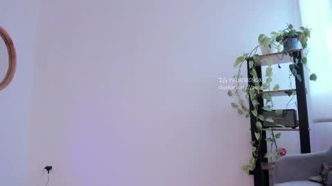 Polly online show from 05.15.26