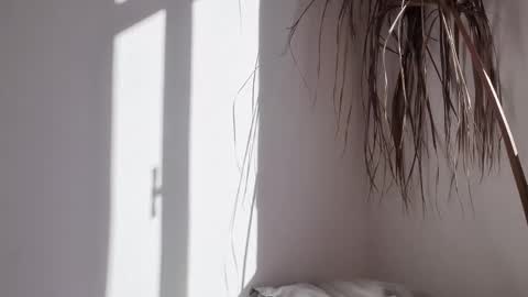 Snapshot of polynessia chatting on 10.17.25 Polina online show from 10.17.25