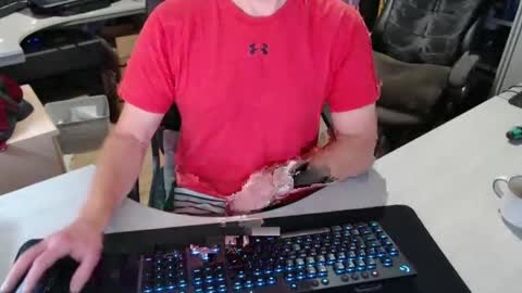 Snapshot of poodledude chatting on 10.29.25 Dave online show from 10.29.25