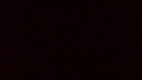 Snapshot of porkynerd chatting on 11.16.25 porkynerd online show from 11.16.25