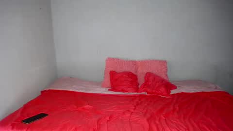 Snapshot of porn_sexy chatting on 02.19.25 NICKKYMARTIN online show from 02.19.25