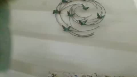 Snapshot of praveen100797 chatting on 10.02.25 praveen100797 online show from 10.02.25