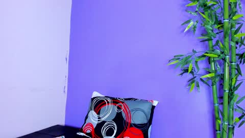 Snapshot of prettybunnies08 chatting on 01.28.25 Enzo Denis online show from 01.28.25