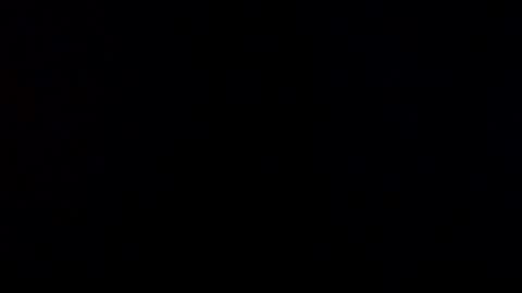 Snapshot of prettybunnies08 chatting on 02.04.25 Enzo Denis online show from 02.04.25