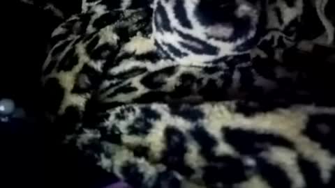 Snapshot of prettyimaa chatting on 01.21.25 prettyma online show from 01.21.25