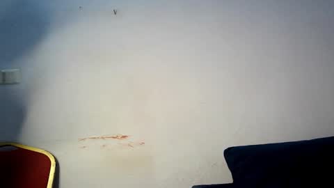 evelyn online show from 03.01.26