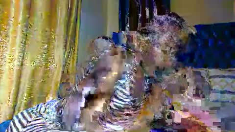 sasha online show from 11.10.25