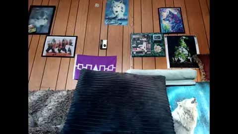 prettysolid7 online show from 02.06.26