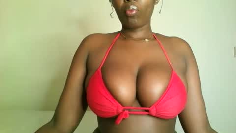 Snapshot of prettyvishy chatting on 11.15.25 prettyvishy online show from 11.15.25