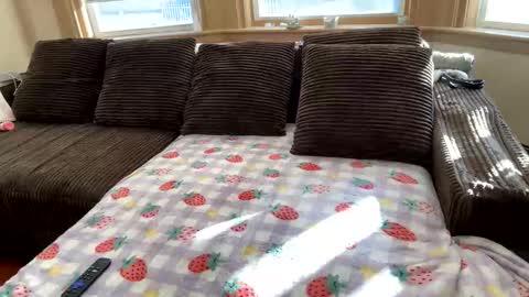 Princess Arii online show from 12.05.25