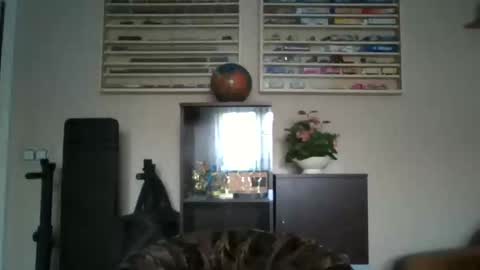 Don online show from 02.25.26