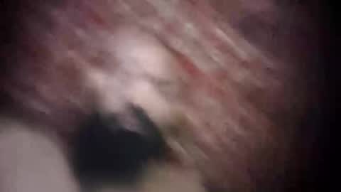 Snapshot of princeabdawal chatting on 11.03.25 princeabdawal online show from 11.03.25