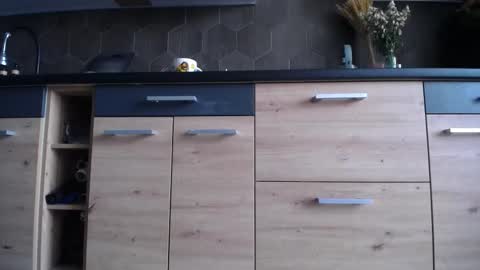 Space online show from 10.03.25