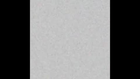 prof25 online show from 02.14.26