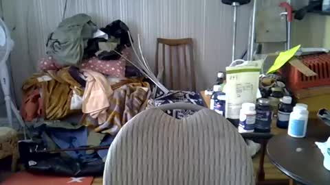 projectorepson online show from 06.21.26