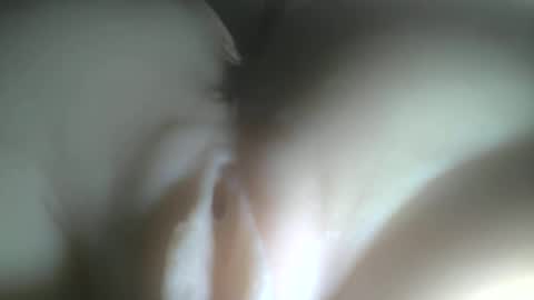 needtocum online show from 02.03.26