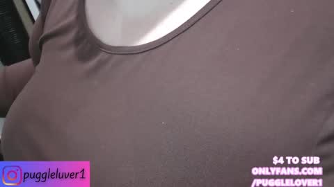 Snapshot of pugglelover chatting on 02.01.25 Puggie - online show from 02.01.25