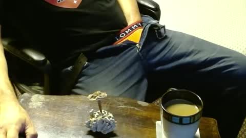 Jojo online show from 10.12.25