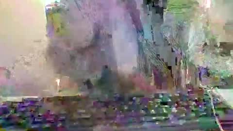 pup_y online show from 12.20.25