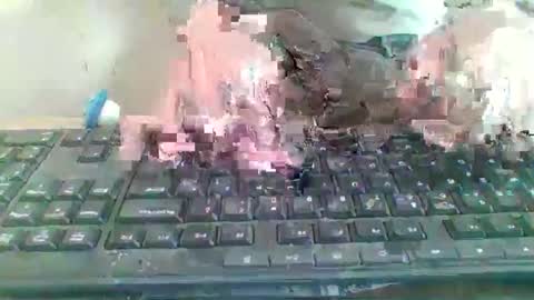 pup_y online show from 01.09.26