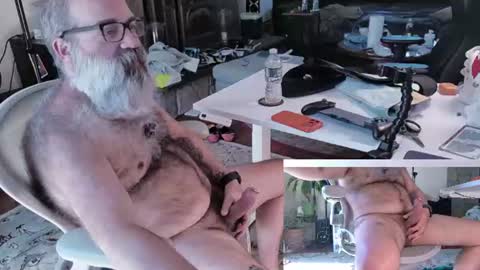 Pup And Papa bear online show from 06.24.26