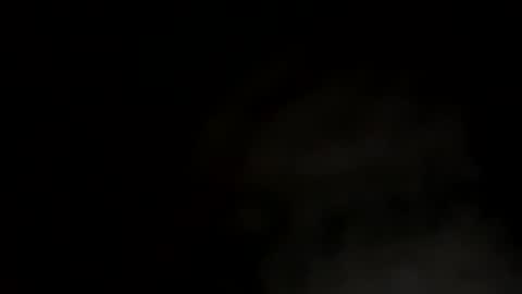 puss123176428 online show from 12.26.24