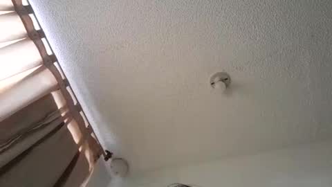 pussy_happy0 online show from 12.03.24