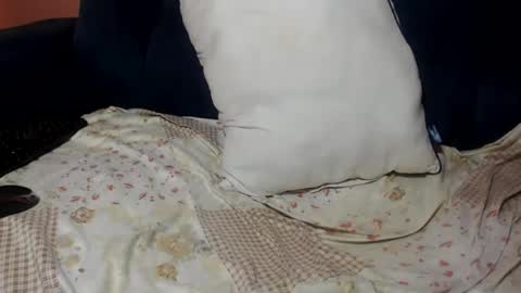 queenchloe1 online show from 07.20.26