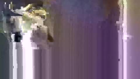 Snapshot of r04233054 chatting on 01.10.26 r04233054 online show from 01.10.26