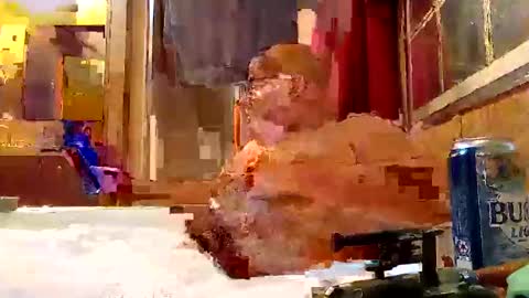rabidsquirrell online show from 02.05.25