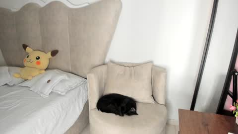 Snapshot of rachaeldeckard chatting on 12.17.24 natalia - online show from 12.17.24