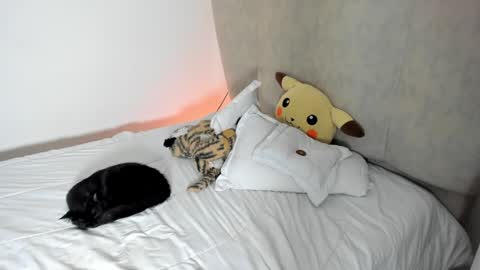 Snapshot of rachaeldeckard chatting on 01.25.25 natalia - online show from 01.25.25