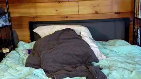 Rachel Price online show from 03.02.25