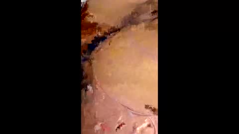 rafagomez102002 online show from 01.18.26