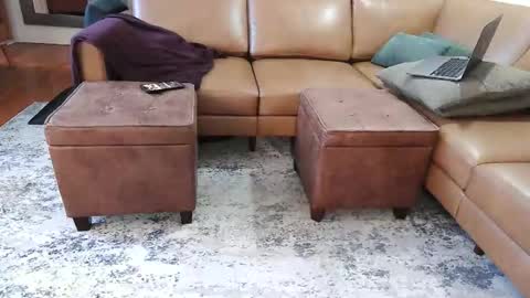 DressSock Shoe online show from 02.07.26