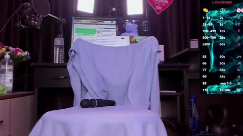 Snapshot of raissa_sky26 chatting on 12.31.24 Laura online show from 12.31.24