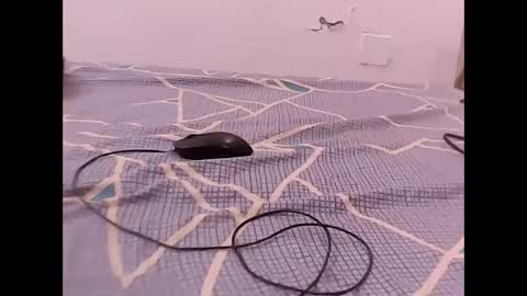 Snapshot of raman5454 chatting on 12.01.25 RAMAN online show from 12.01.25