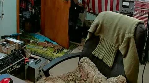 Snapshot of randalltotazz chatting on 02.27.25 Randall online show from 02.27.25