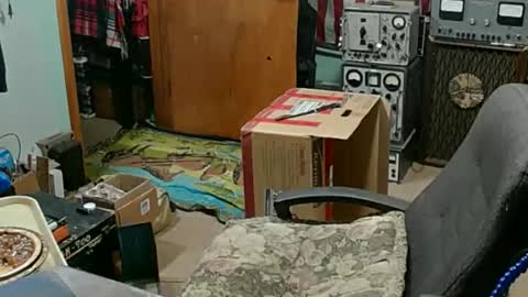 Snapshot of randalltotazz chatting on 11.23.25 Randall online show from 11.23.25