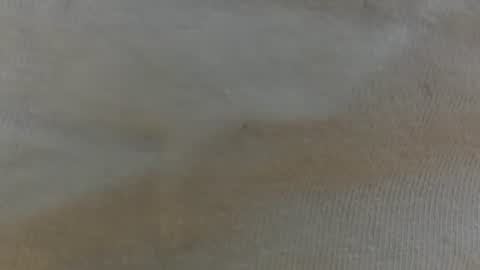 randytoy online show from 06.29.26