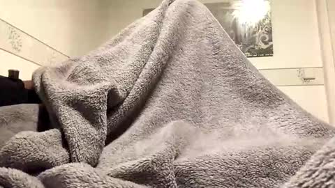 Snapshot of ranj00800 chatting on 11.24.25 ranj00800 online show from 11.24.25