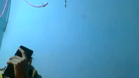 rasoelysca online show from 03.01.26