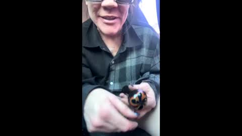 Snapshot of ravenrayyy chatting on 02.09.26 Raven Ray online show from 02.09.26