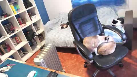 ravingr3d3 online show from 01.11.26